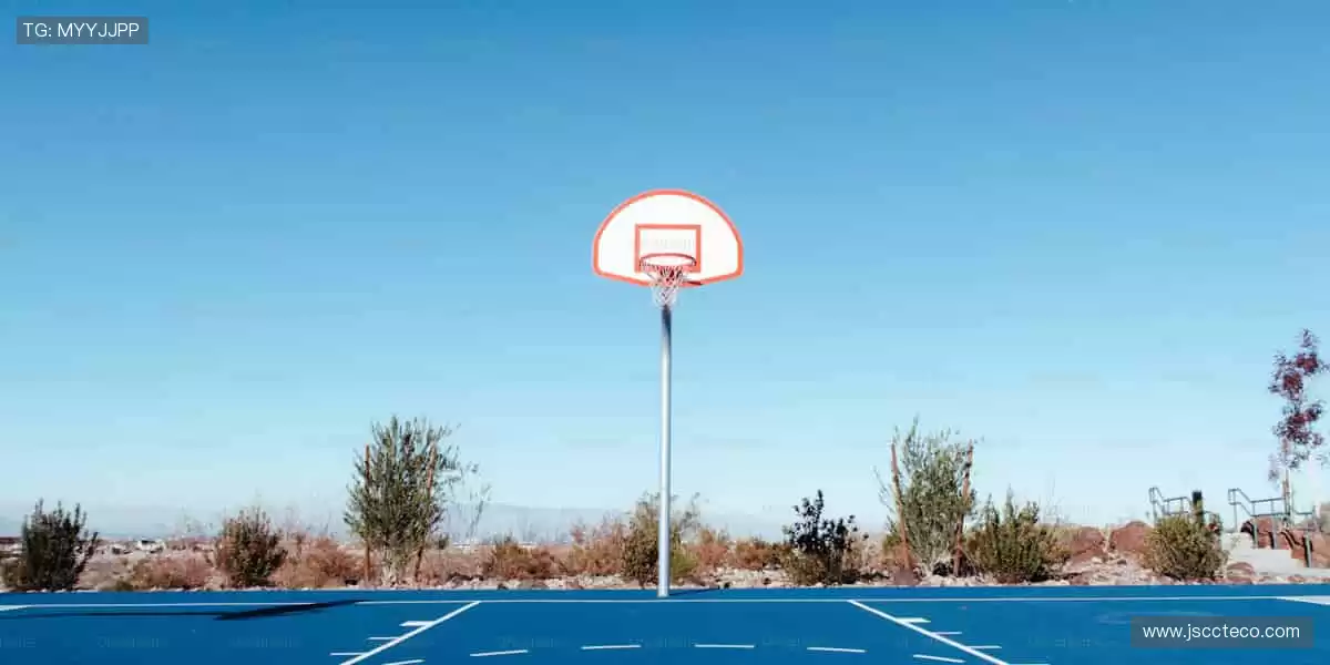 珍藏记忆,专属你的体育情怀!🎁🏅